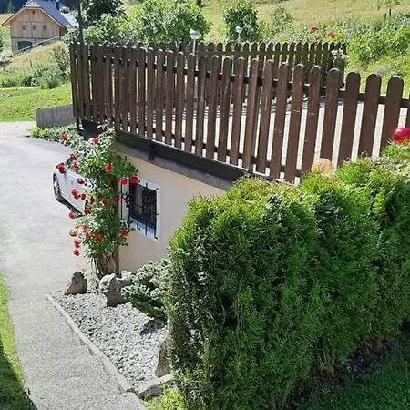 Apartment Haus Fritz - Erholung In Den Bergen *