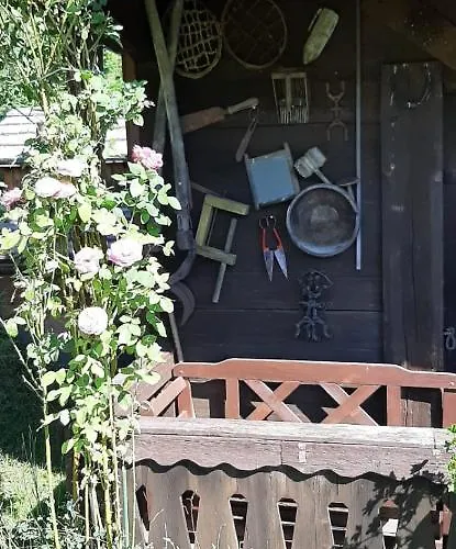 Lejlighed Haus Fritz - Erholung In Den Bergen Donnersbachwald