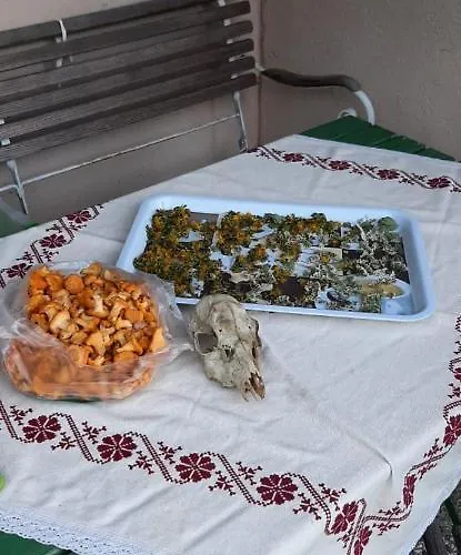 Haus Fritz - Erholung In Den Bergen